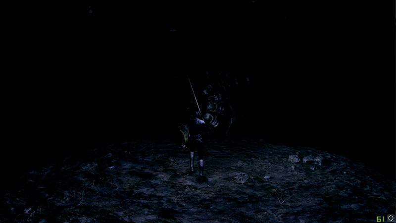 Illustration for article titled Dark Souls Mod Makes Everything Darker